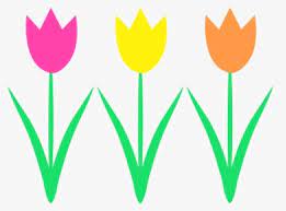 Tulip clipart ~ 12 images. Spring Tulips Clip Art Tulip Flower Clip Art Hd Png Download Kindpng