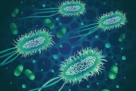Maybe you would like to learn more about one of these? Abundance Of Infectious Bacteria In The Gut May Predict Risk Of Urinary Tract Infection Newsroom Weill Cornell Medicine