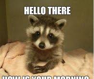 Memes that will make her smile in morning…. Good Morning Memes Pictures Photos Images And Pics For Facebook Tumblr Pinterest And Twitter