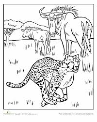 Cheetah Worksheet Education Com Animal Pictures For Kids Animal Coloring Pages Animal Silhouette