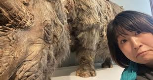 De Museumfabriekに行った話｜ASAMI