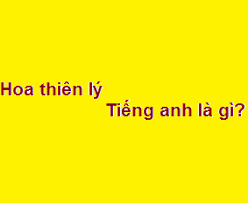 Hoa thien ly in english. Hoa Thien Ly Tiáº¿ng Anh La Gi