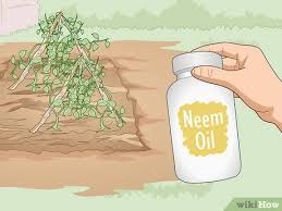 How to make natural pesticide. 3 Ways To Use Organic Pesticides For Gardening Wikihow