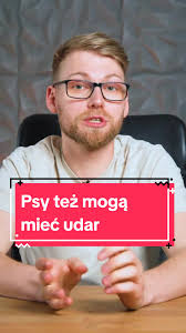 Marek Borek Mycie Włosów