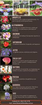 Check spelling or type a new query. Meanings Of Flowers Infographic Flower Meanings Flowers Meant To Be