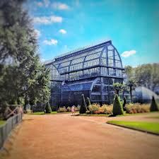 la grande serre du parc de la tete d or parcdelatetedor love lyon onlylyon monlyon mylyon igerslyon france igersfrance il grand serre instagram parc