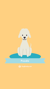 Now through friday, june 18 at 11:59 p.m. Woofpaper Poodle Dogbuddy Blog
