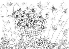 Discover all our printable coloring pages for adults, to print or download for free ! Rustic Landscape With Pretty Flowers In Garden Wheelbarrow For Your Coloring Page Royalty Free Cliparts Vectors And Stock Illustration Image 107715364