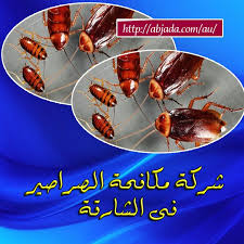 شركات مكافحة صراصير في الشارقة 0507305565 العناية Sharjah Movie Posters Spl