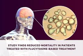 Image result for Cryptococcal Meningitis
