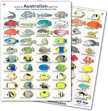 Divelogs Australia Reef Fish Id Card
