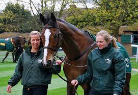 The document has moved here. National Hunt Champion Kauto Star Euthanized After Pasture Accident Eventing Nation Three Day Eventing News Results Videos And Commentary