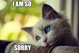 I Am So Sorry First World Problems Cat Meme