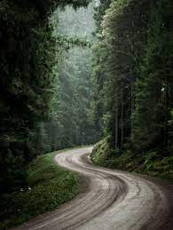 I Started Photographing Swedish Nature As A Therapy After I Injured My Back Now It S My Passion Nature Photography Nature Beautiful Roads