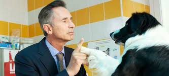 Regarder cet épisode en streaming 1080p, 720p hd. La Saison 2 De Doc Martin Avec Thierry Lhermitte A Partir Du 21 Novembre Sur Tf1