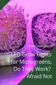 These reviews should help you decide for yourself which led grow light kits are optimal for your marijuana indoor garden. Led Grow Lights For Microgreens Do They Work Afraid Not Microgreens Led Grow Grow Lights