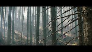 Jean reno • roseanna's 22 bullets directed by richard berry and staring jean reno. The Girl In The Fog 2017 Imdb