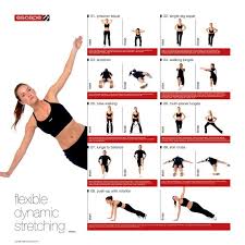Dynamic Stretches Dynamic Stretching Chart Sports