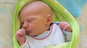 Nidzica. Witajcie na świecie