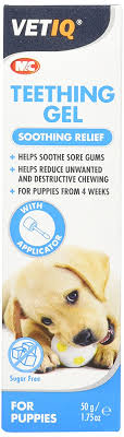 German shepherd puppy proofing your home. Mark And Chappell Teething Gel For Puppies 1 75 Fluid Ounce Want Additional Info Click On The Image This Is An A Teething Gel Dog Health Dog Dental Care