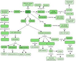 difference between plant and animal cells cells as the