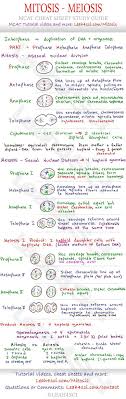 Speed and velocity practice problems worksheet answers. 71 Mitosis Meiosis Ideas Mitosis Teaching Biology Biology Classroom