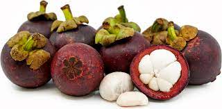Fast, friendly response · price matching · free & fast shipping Mangosteen Information Recipes And Facts