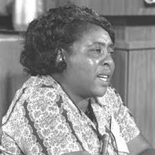 Image 15 of 1 transcript