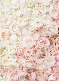 Pin By Vera On Colour Flower Wallpaper Flower Backgrounds Flowers