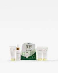 Image result for Green Angel 2018 Fleet