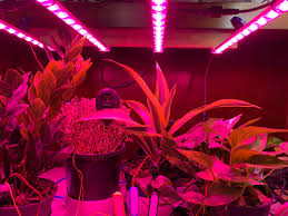 Check spelling or type a new query. Tutorial Adding Led Grow Lights To The Smart Garden System Switchdoc Labs Blog