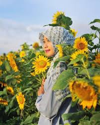 Bunga matahari menjadi bunga nasional ukraina dan bunga resmi negara bagian kansas, amerika serikat. Kebun Bunga Matahari Destinasi Hits Di Bantul Yang Harus Kamu Datangi