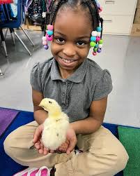 Lafayette Preparatory Academy (@lafayetteprepacademy) · Instagram 照片和视频