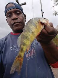 Down from woodland ferry 7:37 985 85