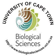 A 3 dimensional version of the uct logo. Uct Bc Logo Collembola Of South Africa