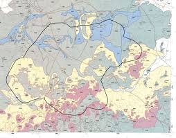 Image result for Helixanthera garciana