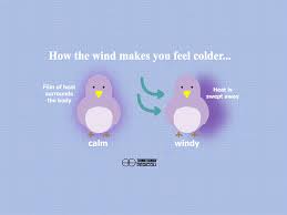 Wind chill effect. What it is and how to calculate it - Termotecnica  Pericoli