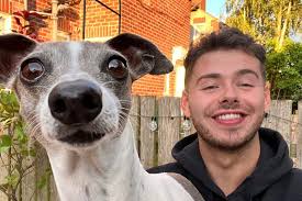 Fundraiser by Daniel Dixon : Bluebells Vet bill