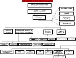 organizational structure sport academy