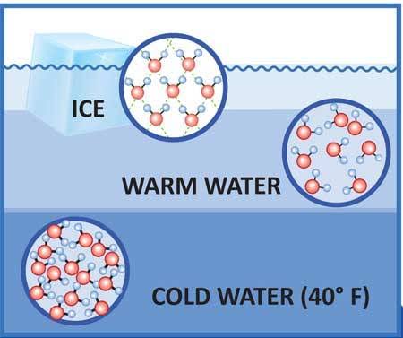 Why Does Ice Float? - guernseydonkey.com