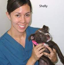 Marina pet hospital opening hours. Marina Pet Hospital 24 Photos 65 Reviews Veterinarians 358 Reservation Rd Marina Ca United States Phone Number