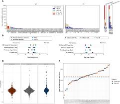 Genomic transformation and social organization during the Copper Age–Bronze  Age transition in southern Iberia | Science Advances