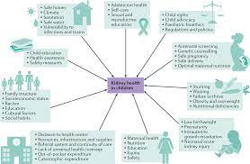 The stages of kidney disease are based on how well the kidneys are working to filter waste and extra fluid out of the blood. Sustainable Development Goals Relevant To Kidney Health An Update On Progress Nature Reviews Nephrology