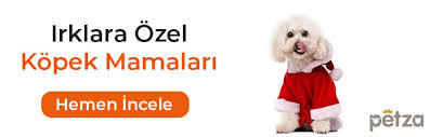 Kopek Malzemeleri Kopek Esyalari Ve Fiyatlari Petza