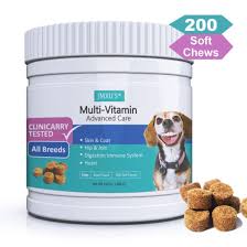 Older dogs will need multivitamins that boost energy and strengthen bones. Dogs Nutrition Supplements Soft Chews Lecithin Vitamin Food Puppy Vitamin Supplements Improve Immune System Soft Chew China Dogs Nutrition Supplements And Dog Vitamin Supplements Price Made In China Com