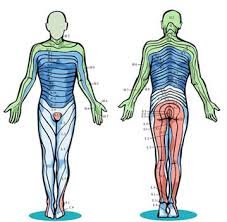 Schmerzen über den po bis in den oberschenkel häufig tritt im alter von ca. Schmerzen Taubheit Und Kribbeln In Den Beinen