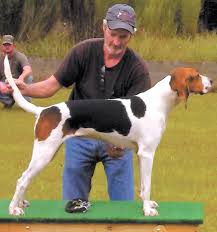 Cream ceramic kitchen sinks ukc forums blueticks treeing. A South Georgia Coon Hunt Where It S All About The Dogs