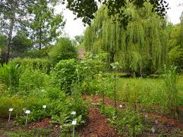 Botanischer Garten Oberholz