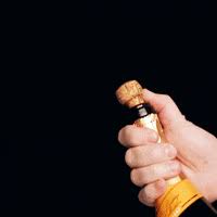 Relevant newest # drink # drinking # bbc # champagne # happy hour # cheers # episode 5 # drinking # champagne. Champagne Pop Gifs Get The Best Gif On Giphy