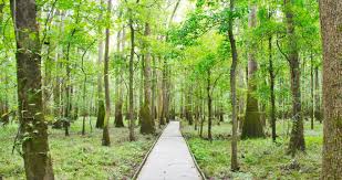 Enjoy a family cabin with your loved ones in an indiana state park this year. 25 Best South Carolina State National Parks